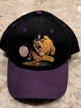 Rare Vintage Fresno Grizzlies Snapback Large Grizzly Front Patch Spellout Back